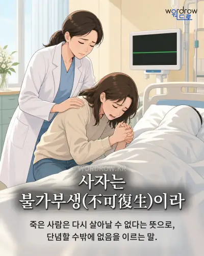 한국어 속담 “사자는 불가부생이라” 1컷 일러스트
