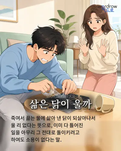 한국어 속담 “삶은 닭이 울까” 1컷 일러스트