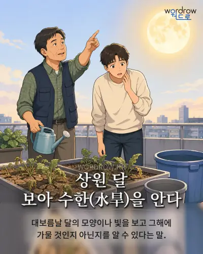 한국어 속담 “상원 달 보아 수한(水旱)을 안다” 1컷 일러스트