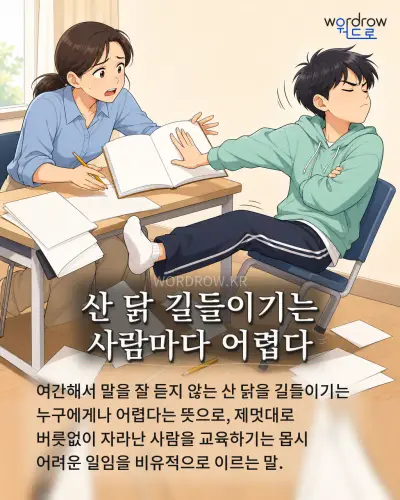 한국어 속담 “산 닭 길들이기는 사람마다 어렵다” 1컷 일러스트