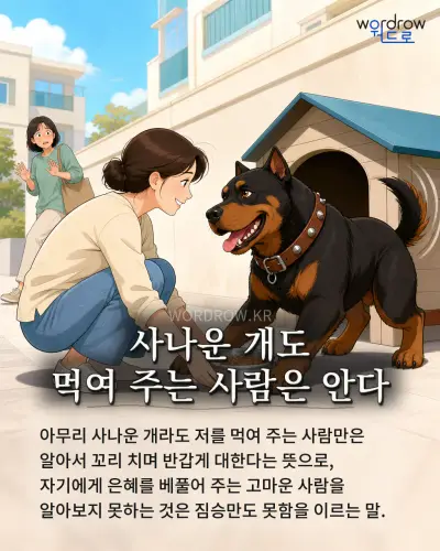 한국어 속담 “사나운 개도 먹여 주는 사람은 안다” 1컷 일러스트