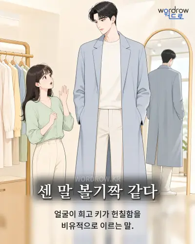 한국어 속담 “센 말 볼기짝 같다” 1컷 일러스트