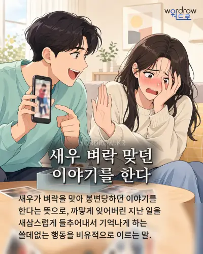 한국어 속담 “새우 벼락 맞던 이야기를 한다” 1컷 일러스트