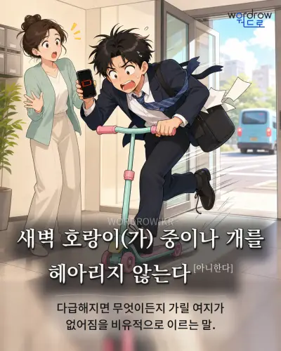 한국어 속담 “새벽 호랑이(가) 중이나 개를 헤아리지 않는다[아니한다]” 1컷 일러스트
