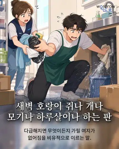 한국어 속담 “새벽 호랑이 쥐나 개나 모기나 하루살이나 하는 판” 1컷 일러스트