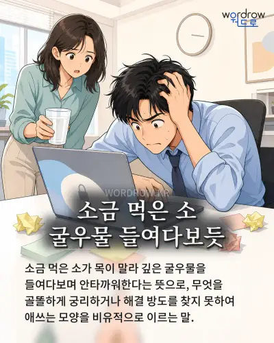 한국어 속담 “소금 먹은 소 굴우물 들여다보듯” 1컷 일러스트