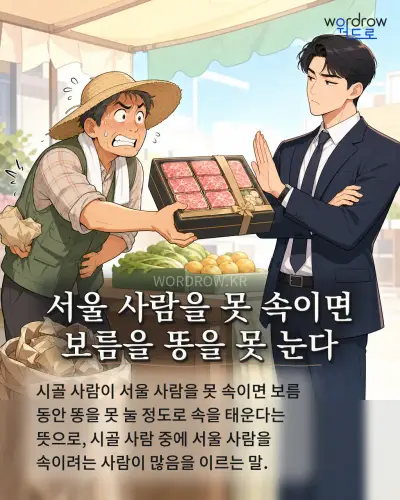 한국어 속담 “서울 사람을 못 속이면 보름을 똥을 못 눈다” 1컷 일러스트