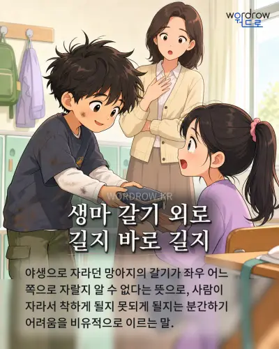 한국어 속담 “생마 갈기 외로 길지 바로 길지” 1컷 일러스트