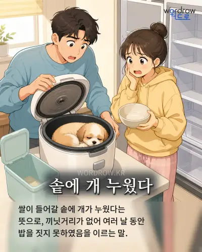 한국어 속담 “솥에 개 누웠다” 1컷 일러스트