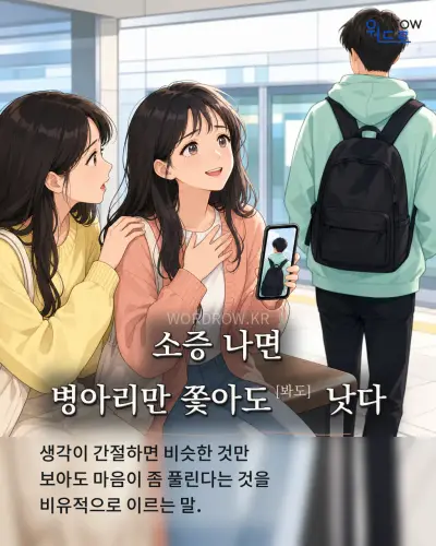 한국어 속담 “소증 나면 병아리만 쫓아도[봐도] 낫다” 1컷 일러스트