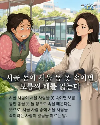 한국어 속담 “시골 놈이 서울 놈 못 속이면 보름씩 배를 앓는다” 1컷 일러스트