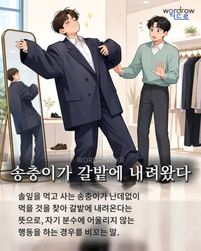 한국어 속담 “송충이가 갈밭에 내려왔다” 1컷 일러스트
