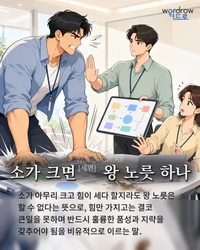 한국어 속담 “소가 크면 왕 노릇 하나” 1컷 일러스트