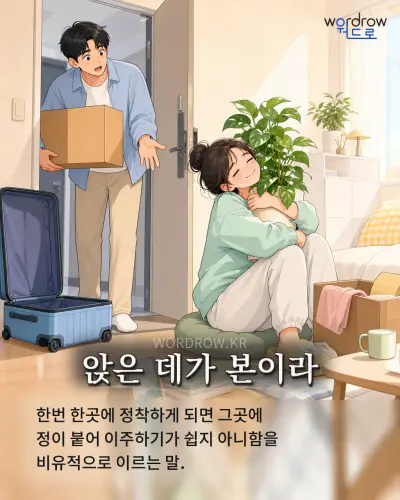 한국어 속담 “앉은 데가 본이라” 1컷 일러스트