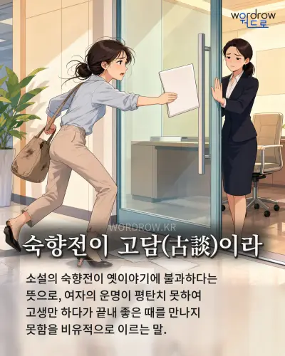 한국어 속담 “숙향전이 고담이라” 1컷 일러스트