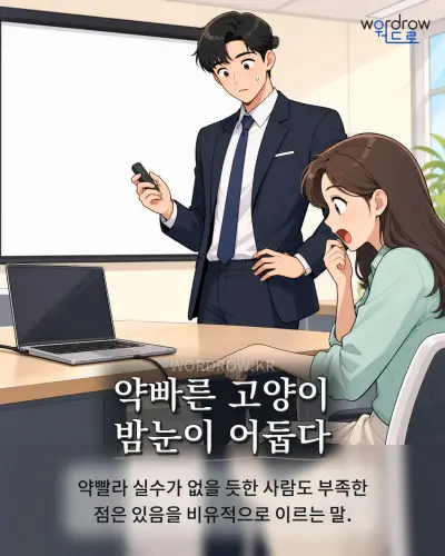 한국어 속담 “약빠른 고양이 밤눈이 어둡다” 1컷 일러스트