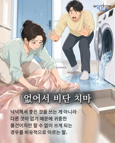 한국어 속담 “없어서 비단 치마” 1컷 일러스트