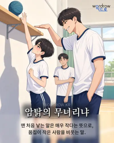 한국어 속담 “암탉의 무녀리냐” 1컷 일러스트