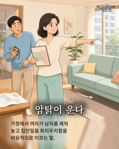 한국어 속담 “암탉이 운다” 1컷 일러스트