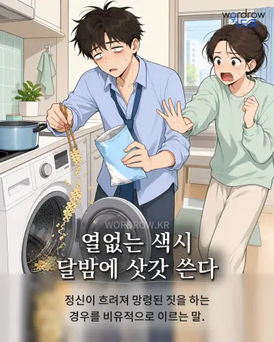 한국어 속담 “열없는 색시 달밤에 삿갓 쓴다” 1컷 일러스트