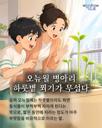 한국어 속담 “오뉴월 병아리 하룻볕 쬐기가 무섭다” 1컷 일러스트
