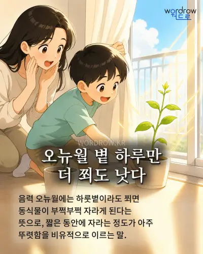 한국어 속담 “오뉴월 볕 하루만 더 쬐도 낫다” 1컷 일러스트
