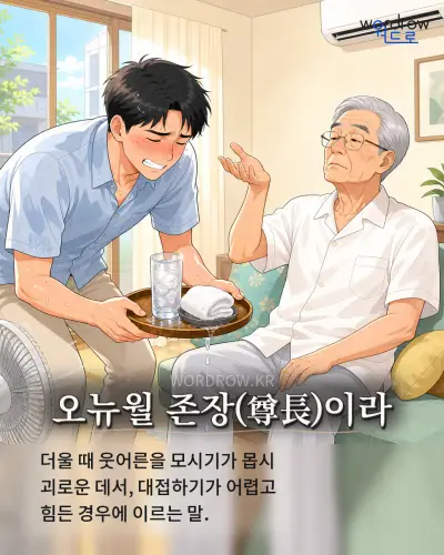 한국어 속담 “오뉴월 존장(尊長)이라” 1컷 일러스트