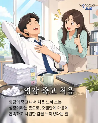 한국어 속담 “영감 죽고 처음” 1컷 일러스트