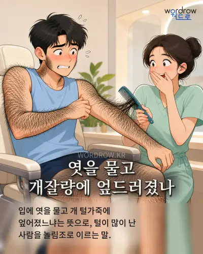 한국어 속담 “엿을 물고 개잘량에 엎드러졌나” 1컷 일러스트