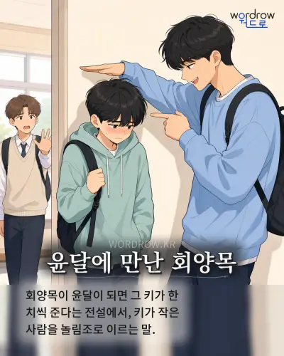 한국어 속담 “윤달에 만난 회양목” 1컷 일러스트