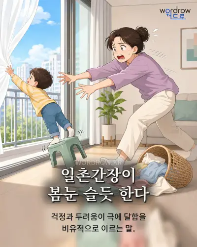한국어 속담 “일촌간장이 봄눈 슬듯 한다” 1컷 일러스트