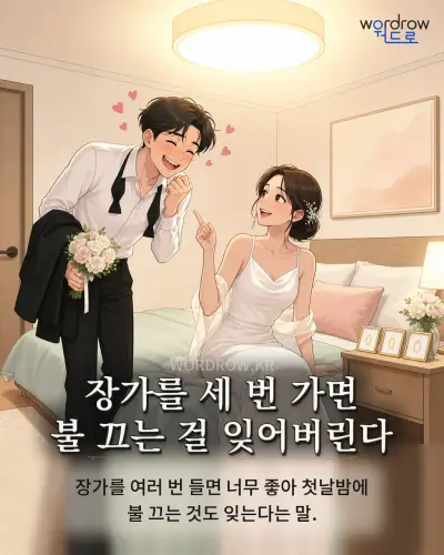 한국어 속담 “장가를 세 번 가면 불 끄는 걸 잊어버린다” 1컷 일러스트