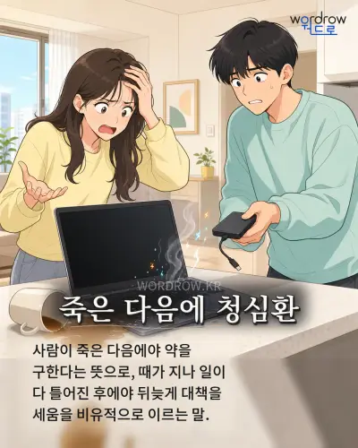 한국어 속담 “죽은 다음에 청심환” 1컷 일러스트