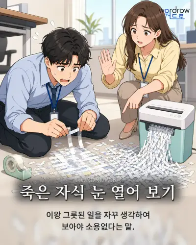 한국어 속담 “죽은 자식 눈 열어 보기” 1컷 일러스트