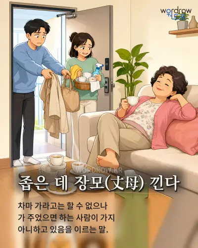 한국어 속담 “좁은 데 장모(丈母) 낀다” 1컷 일러스트