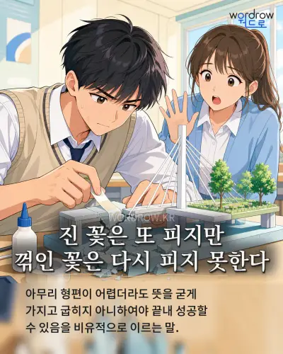 한국어 속담 “진 꽃은 또 피지만 꺾인 꽃은 다시 피지 못한다” 1컷 일러스트