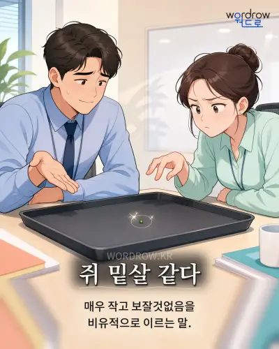 한국어 속담 “쥐 밑살 같다” 1컷 일러스트
