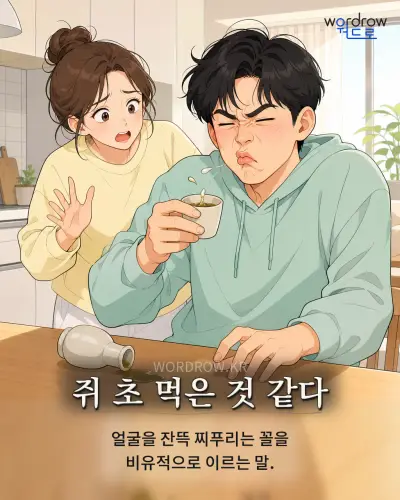 한국어 속담 “쥐 초 먹은 것 같다” 1컷 일러스트