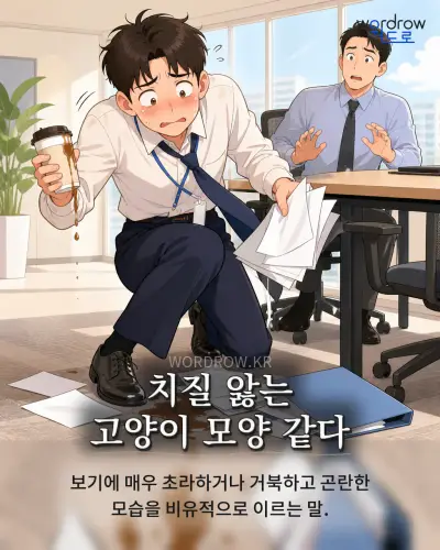 한국어 속담 “치질 앓는 고양이 모양 같다” 1컷 일러스트