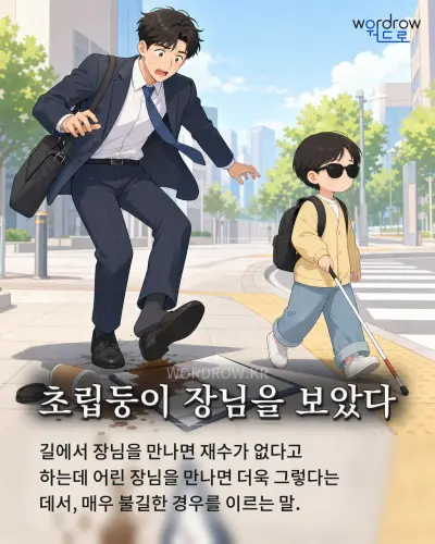 한국어 속담 “초립둥이 장님을 보았다” 1컷 일러스트