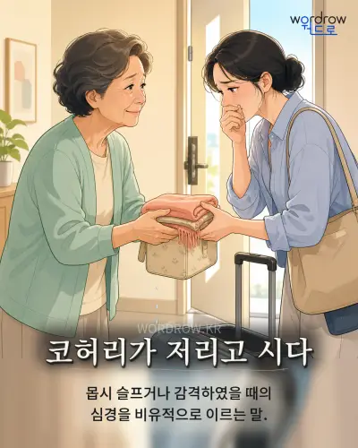 한국어 속담 “코허리가 저리고 시다” 1컷 일러스트