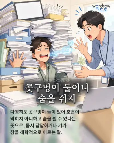 한국어 속담 “콧구멍이 둘이니 숨을 쉬지” 1컷 일러스트