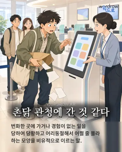 한국어 속담 “촌닭 관청에 간 것 같다” 1컷 일러스트