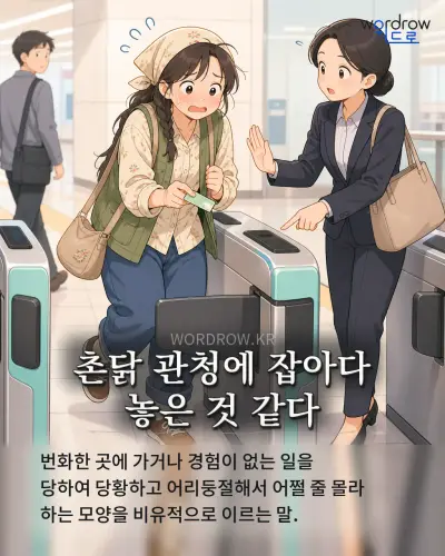한국어 속담 “촌닭 관청에 잡아다 놓은 것 같다” 1컷 일러스트