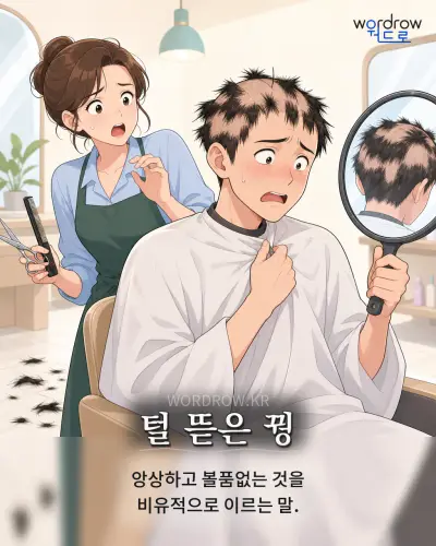 한국어 속담 “털 뜯은 꿩” 1컷 일러스트