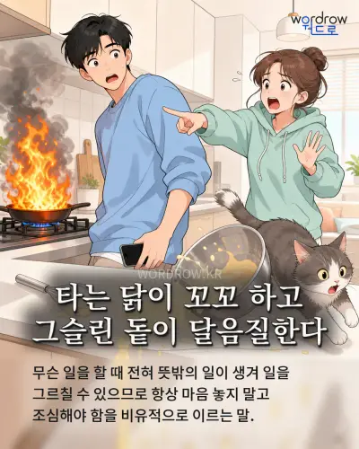 한국어 속담 “타는 닭이 꼬꼬 하고 그슬린 돝이 달음질한다” 1컷 일러스트