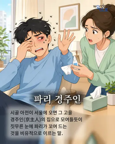 한국어 속담 “파리 경주인” 1컷 일러스트