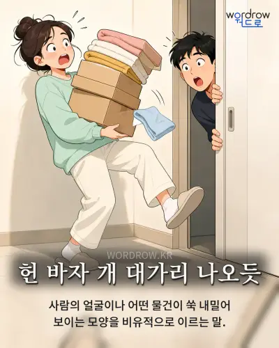 한국어 속담 “헌 바자 개 대가리 나오듯” 1컷 일러스트